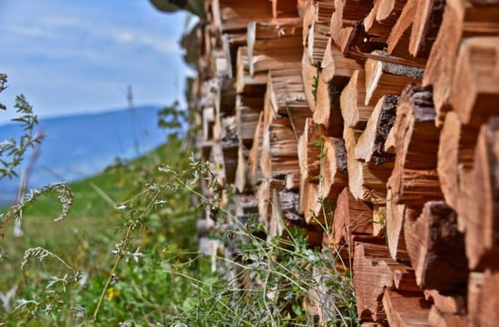 natururlaub-obererhof-08